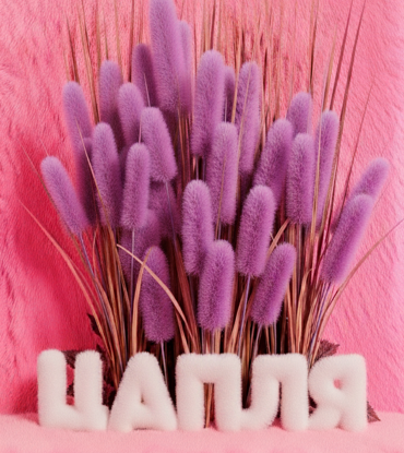 Запись на закрытый показ!